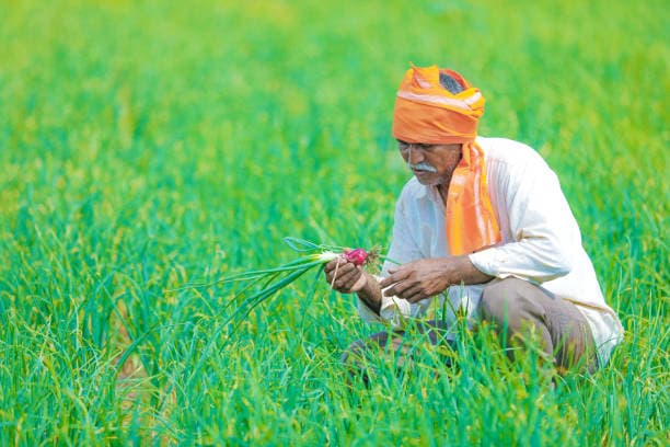 Article Farming